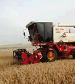 汪师傅安装收入,收割机雷沃谷神和雷沃谷王哪个好