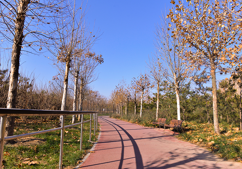 鍏夊奖鎽勫奖鐢熸椿鍦烘櫙,鍏夊奖鐢熸椿鎽勫奖浣滃搧娆ｈ祻