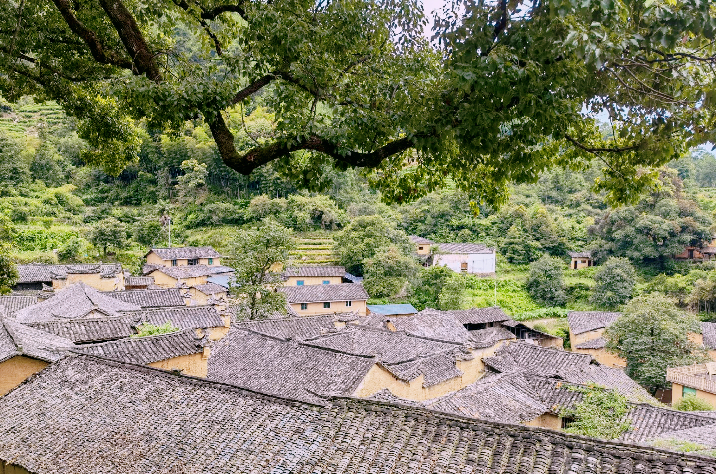 浙江丽水，人均GDP排全省最末，有的小区房价却超过5万