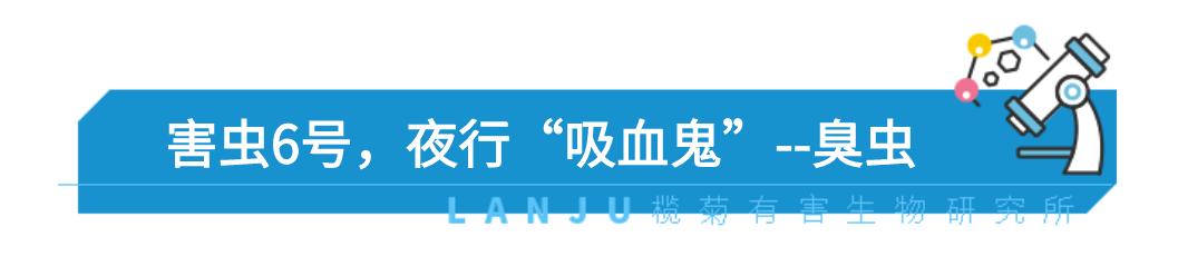 防止毒虫叮咬的最好方法,毒虫叮咬后的救命方法