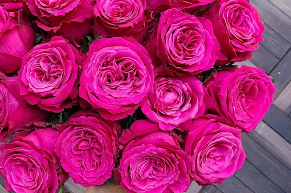 花店必备的5款玫瑰,花店常用的10款玫瑰花是哪些品种