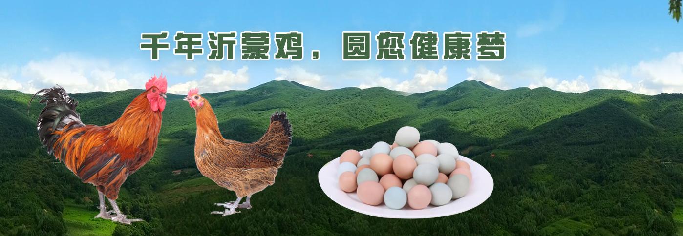 山东龙盛农牧集团有限公司龙君江,山东龙盛农牧集团贷款纠纷案件