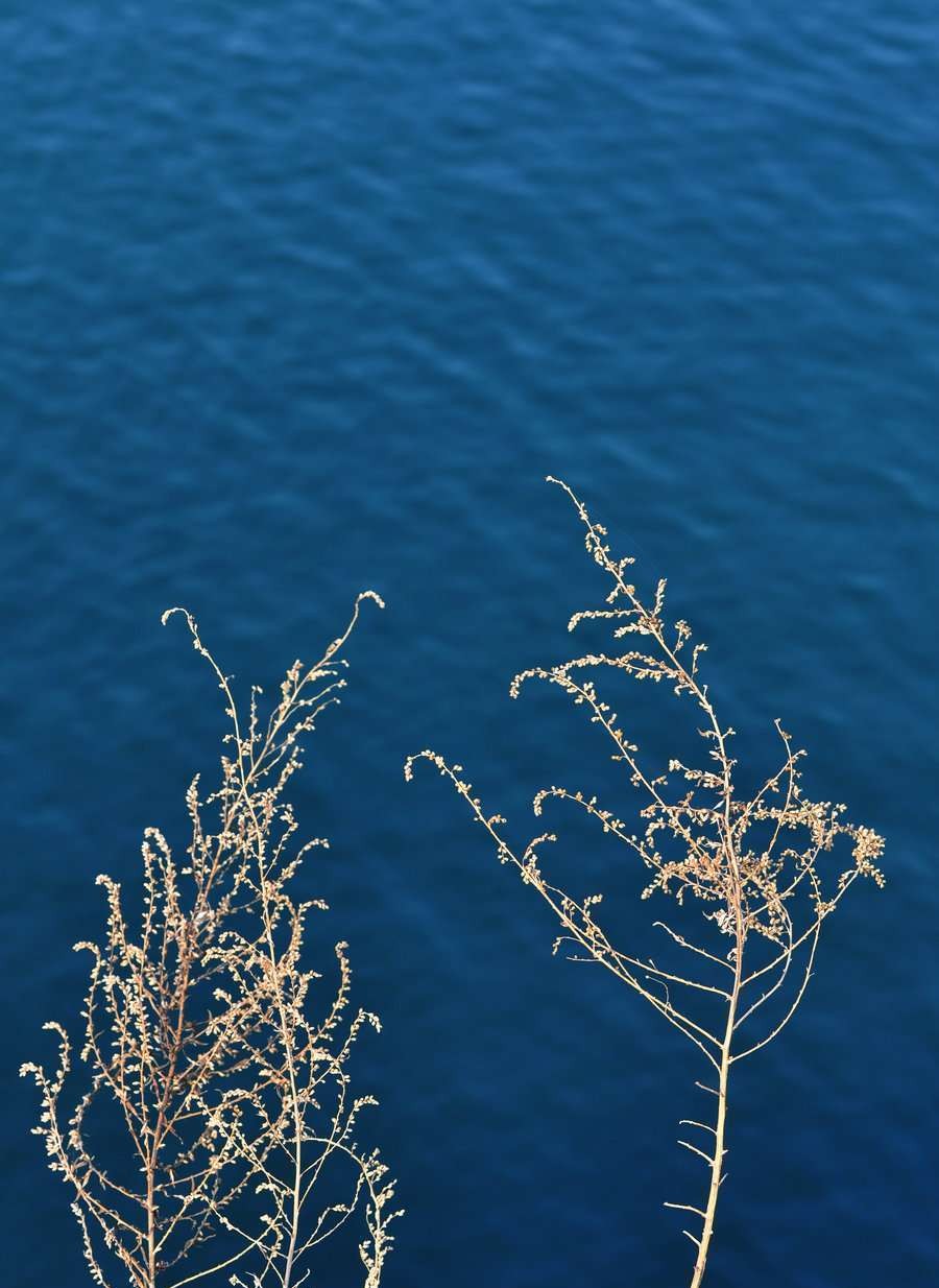 衰老的皮肤从缺水开始,干涸的水塘