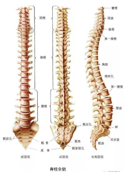 直腿坐放松法的明劲练习