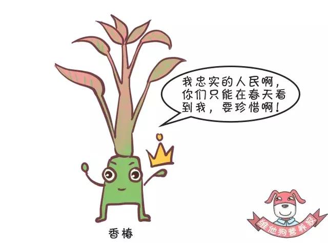 香菜、香椿……这些有味道的蔬菜,吃了有什么好处?