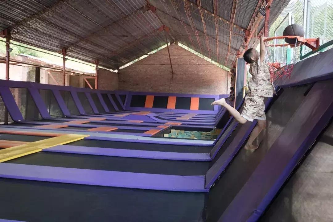 元宵花灯太美了,春季赏花郁金香太美了