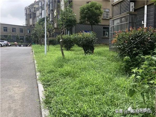 六安特价房源50万以下,六安房价急售