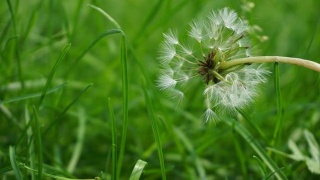 当你生气时看看女生的态度,当你生气时看一看你会明白很多