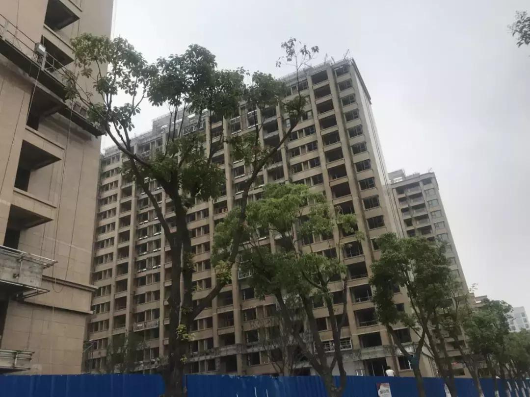 大名城紫金九号新楼盘,大名城紫金九号成交价