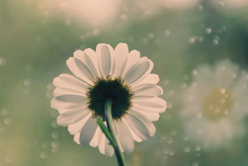 宫颈癌免疫治疗病例分享,晚期宫颈腺癌病例分享