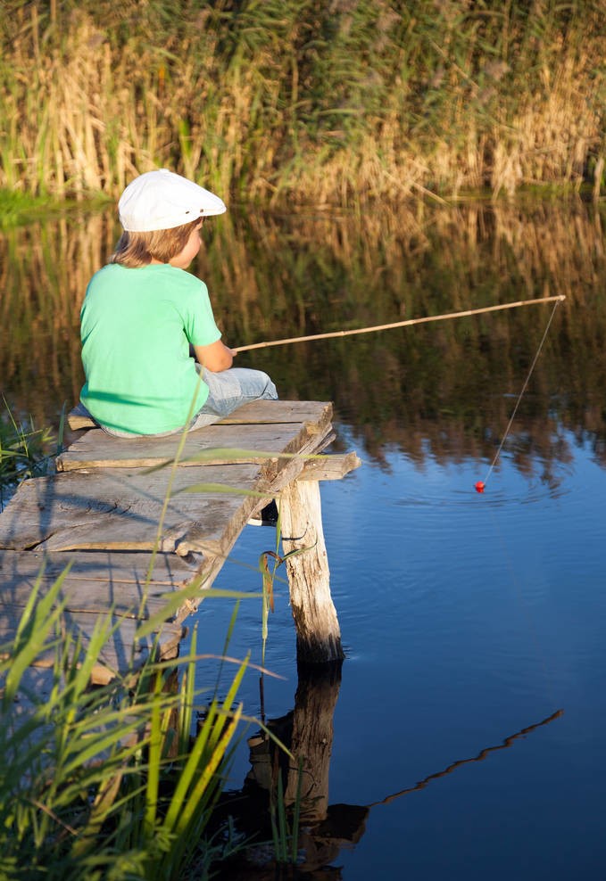老家的水塘不如以前了,老家的水塘