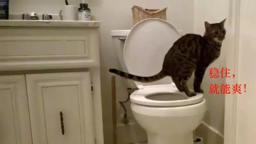 测测你上厕所姿势,拉粑粑正确姿势