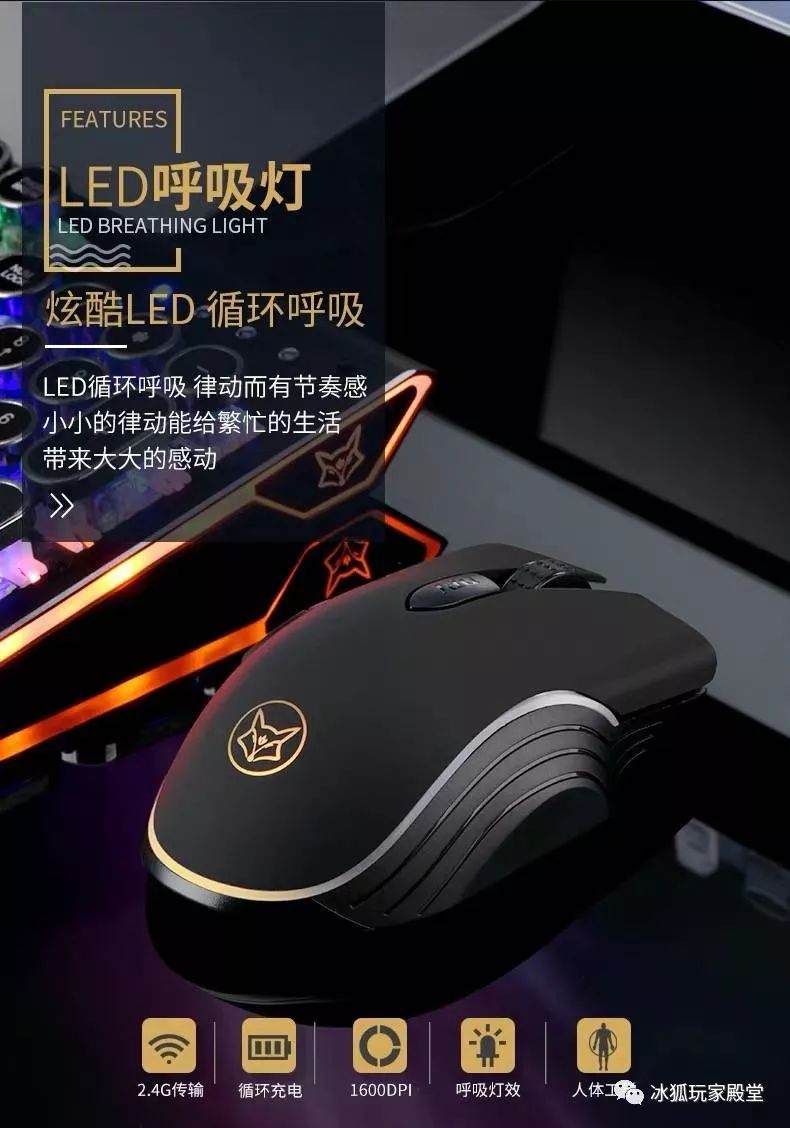 365天唯一的不同，是冰狐处处不同