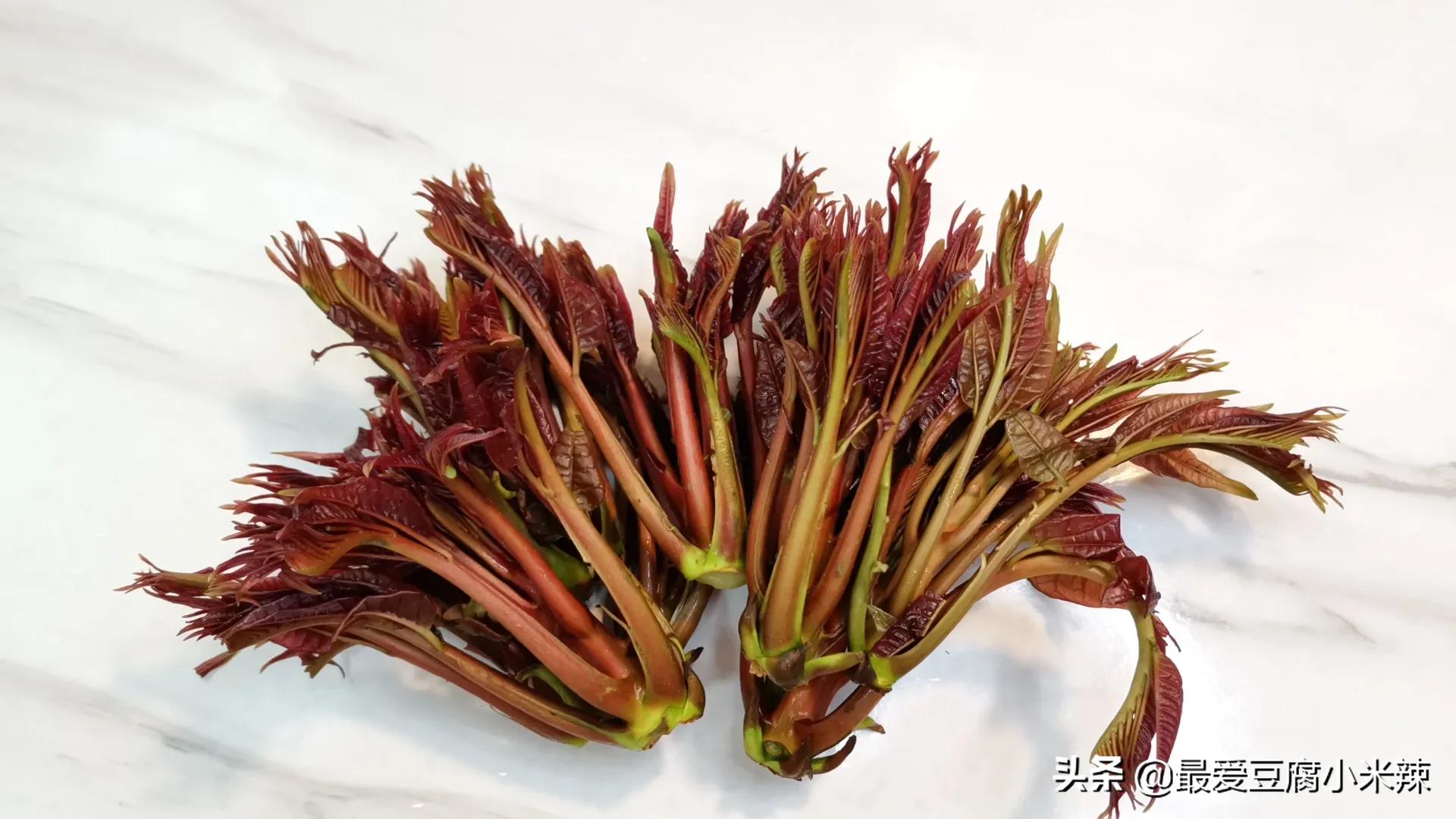 香椿芽怎么才能长期保存才新鲜,香椿芽一年四季都可以吃吗