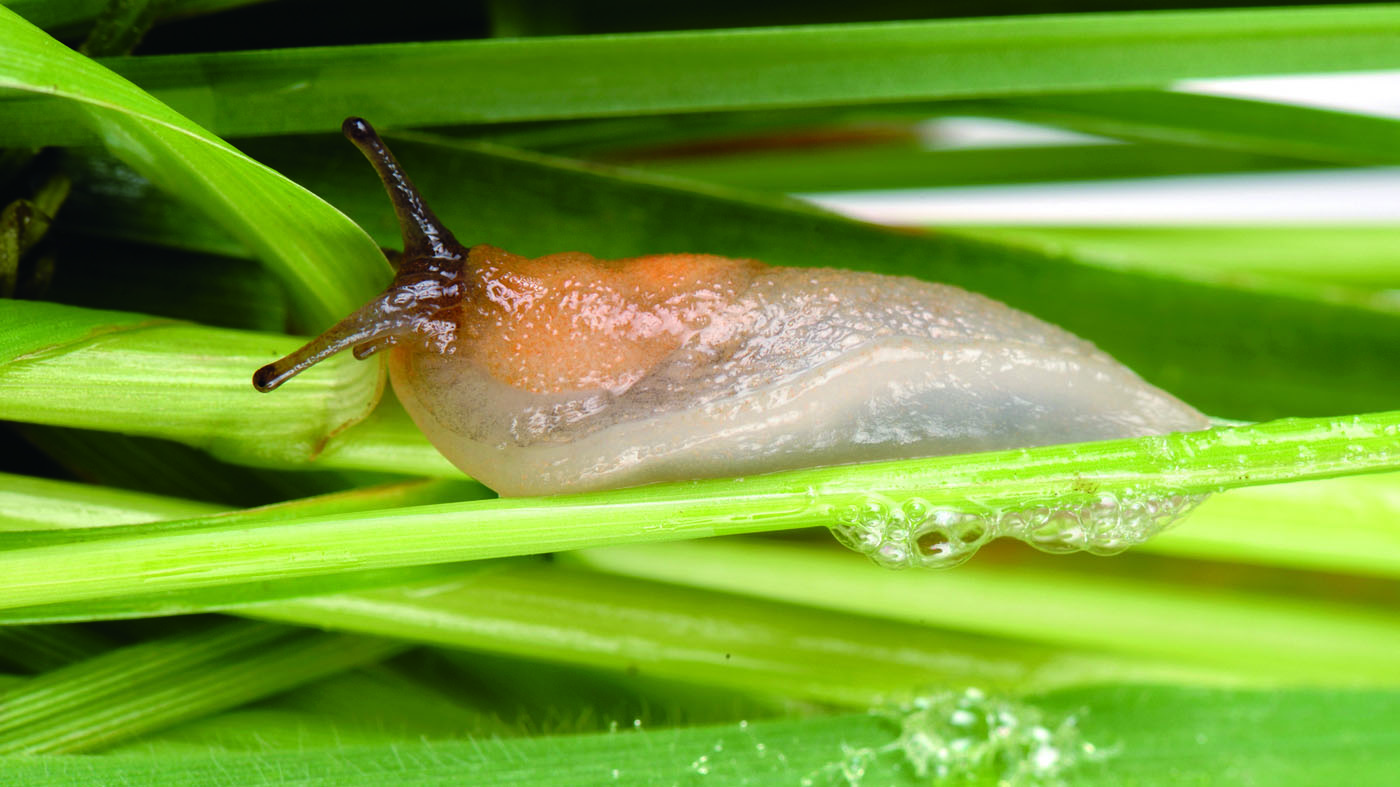 手术后免拆线用温水洗线会融化吗,医用胶水缝合伤口几天会愈合