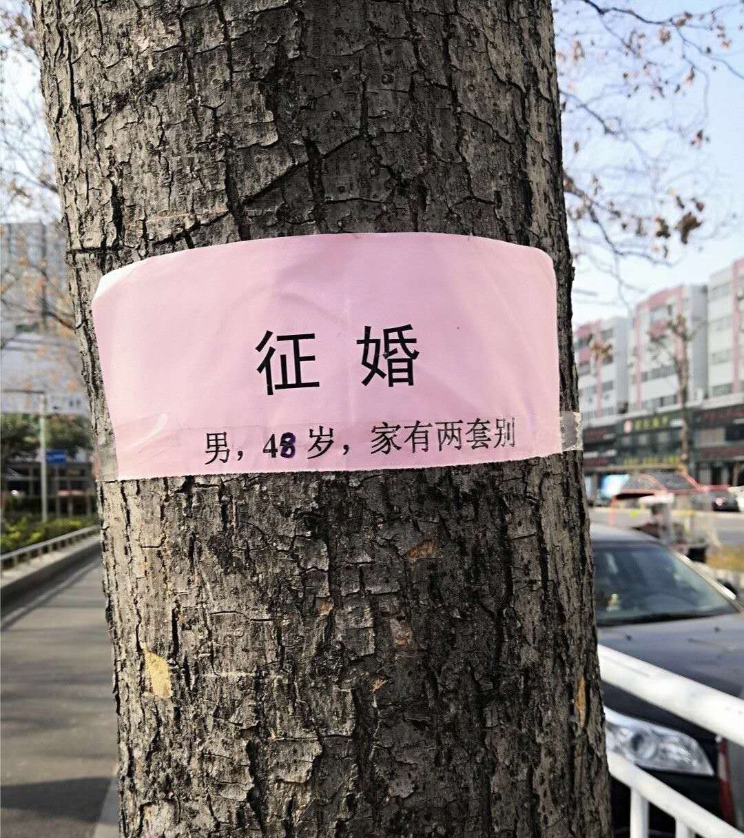 明知道赌博会输为什么还要去赌,明知道赌会输为什么还要去赌