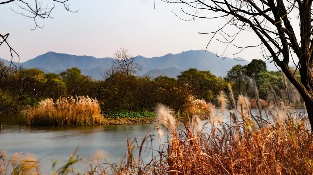 西溪湿地国家公园最近有什么节目,杭州西溪湿地附近大火