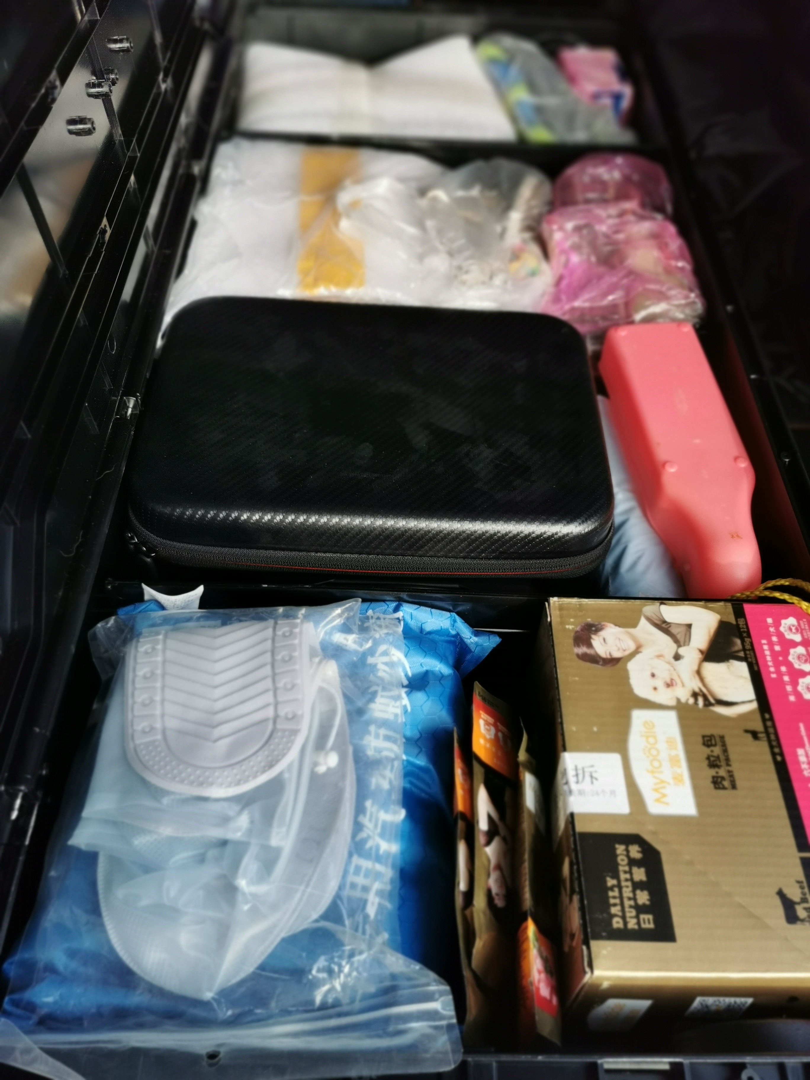 带狗爬山需要准备的装备大合集,准备带狗狗去旅行