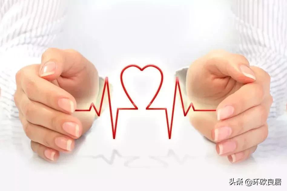 荷兰生活费上涨了多少,荷兰生活费