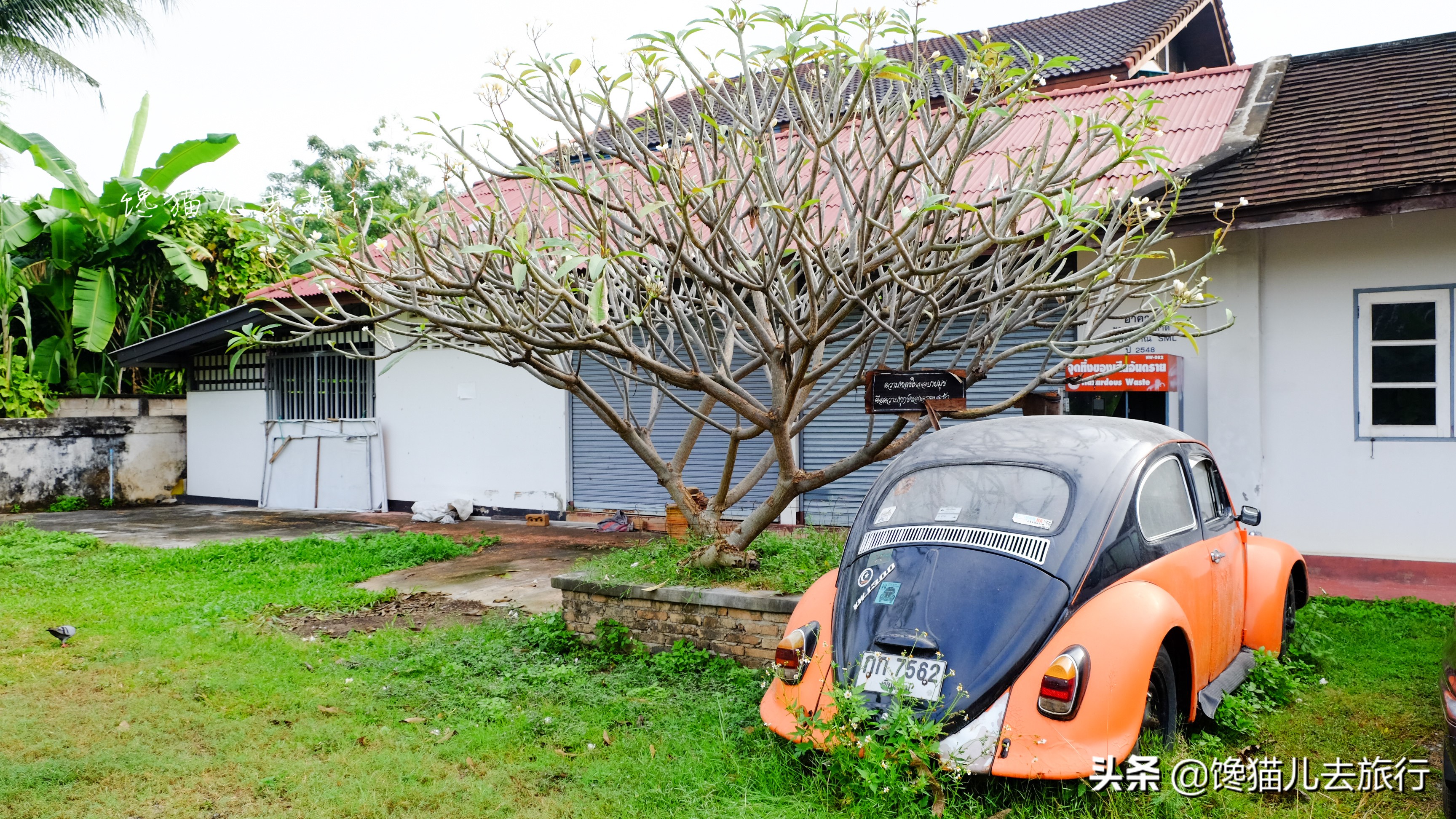 泰国旅游六日游景点推荐,泰国旅游景点攻略自由行路线推荐