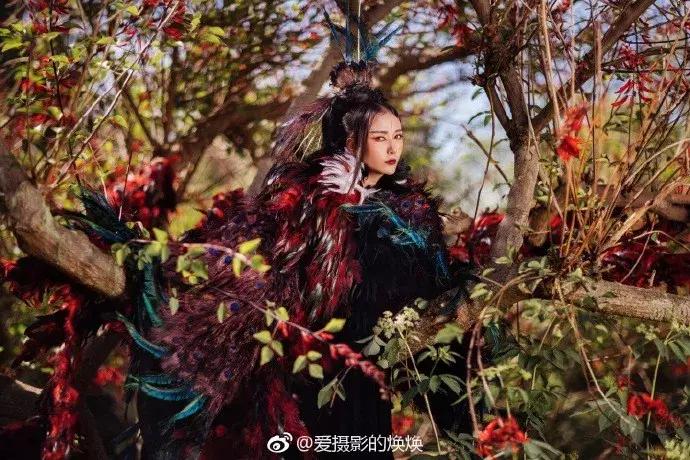 90后女孩拍稀有动物,90后女孩拍视频200万