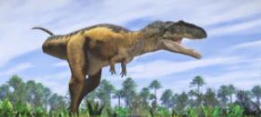 十大肉食性恐龙怎么画,肉食性恐龙视频