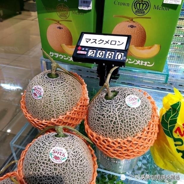 苍老师发博大赞,甘愿为其0元代言