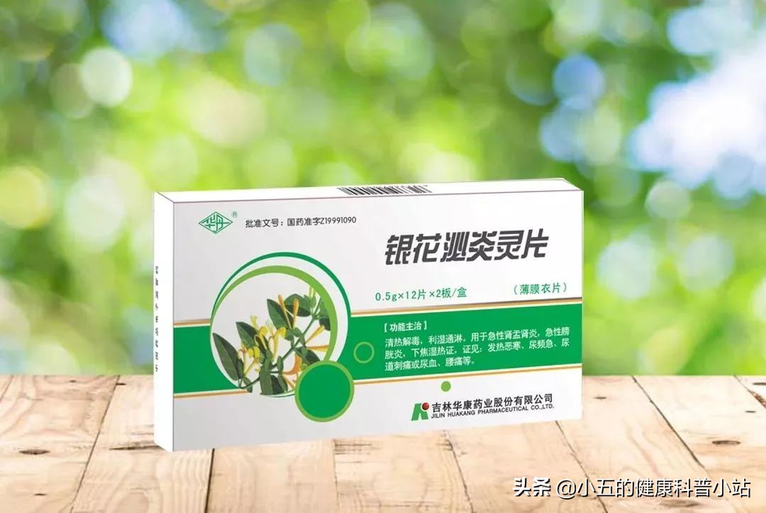 探索银花泌炎灵片的抗炎之旅,银花泌炎灵片治愈效果