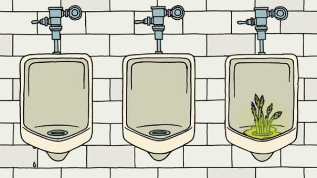 这才是芦笋最正确的做法营养健康,减肥食谱鸡肉卷芦笋