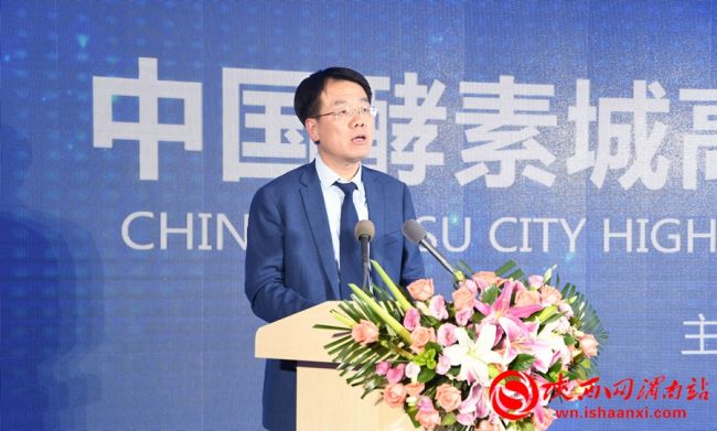 中国酵素城核心区,中国酵素城规划