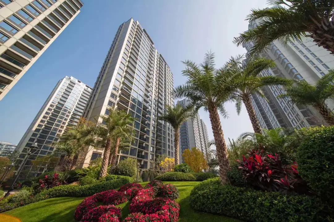 滨江楼盘实景,滨江效果图