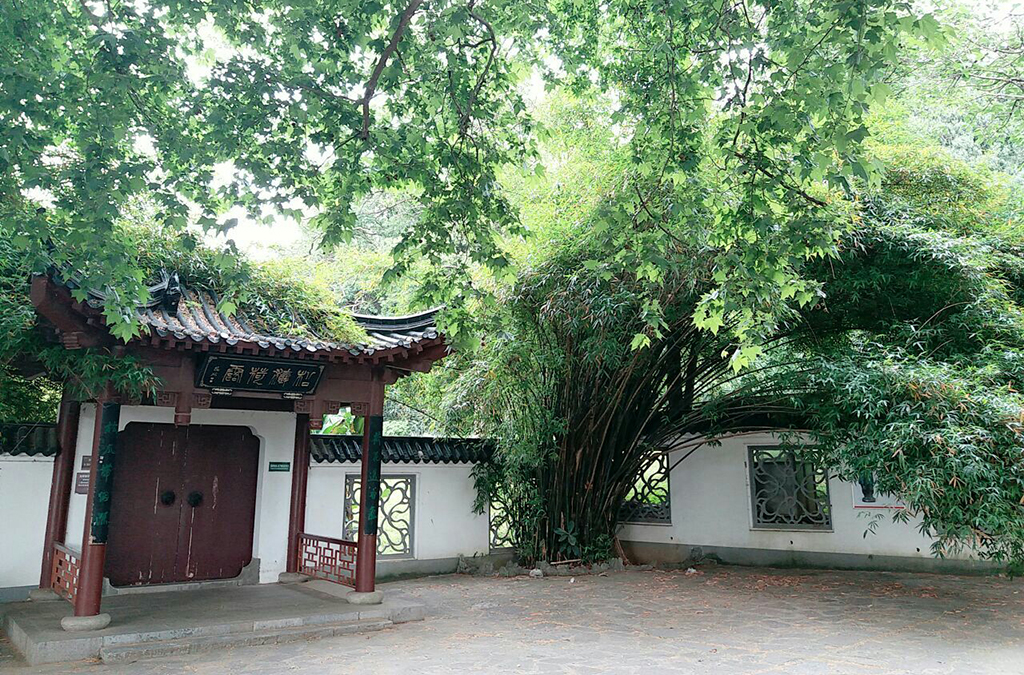 武汉踏青免费烧烤的自然景区,武汉马鞍山森林公园露营地推荐