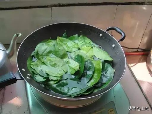 柚子叶洗澡是哪里的传统,柚子叶洗澡真的能转运么