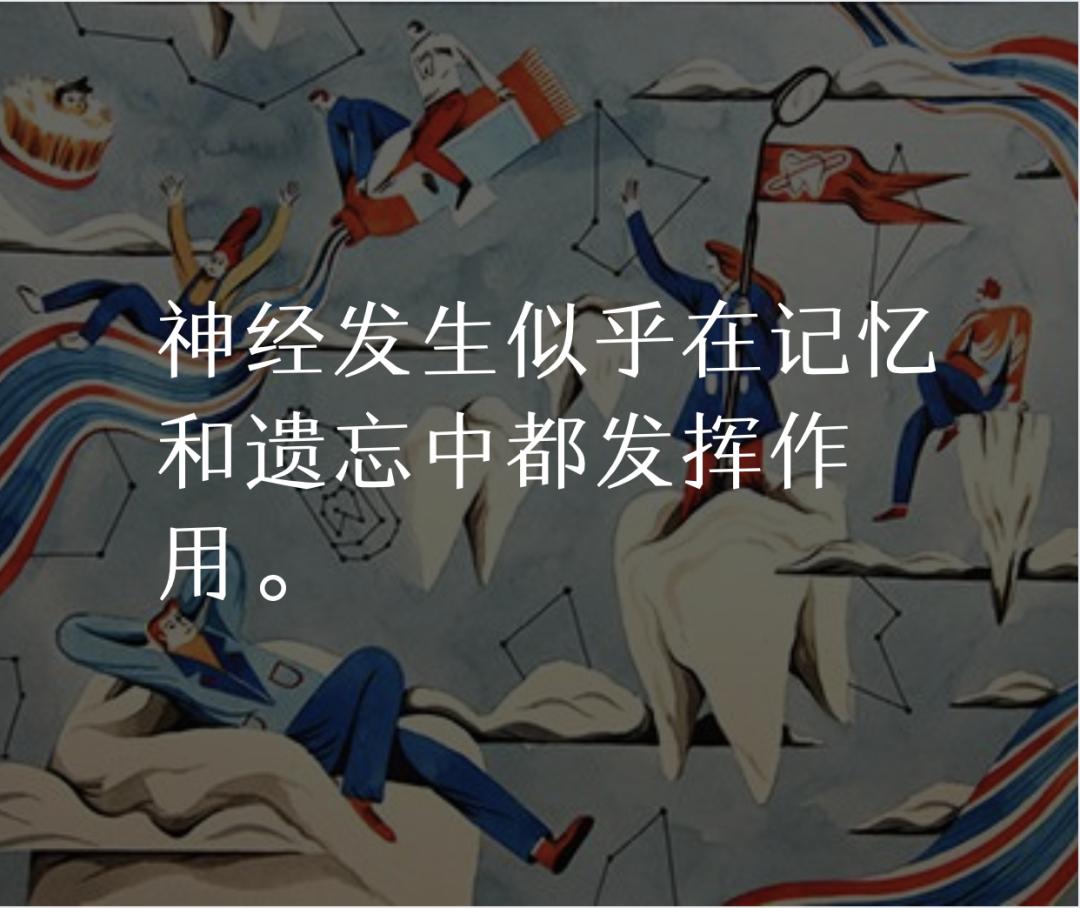 成人大脑神经元视频,人体大脑神经元有多少