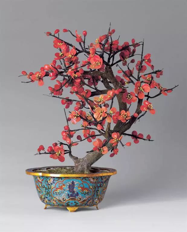 最受欢迎的3种花,这3种花真的很难养