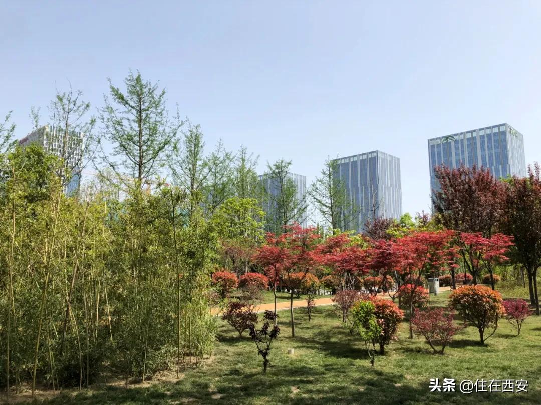 一城三中心全新规划,一城三核四轴