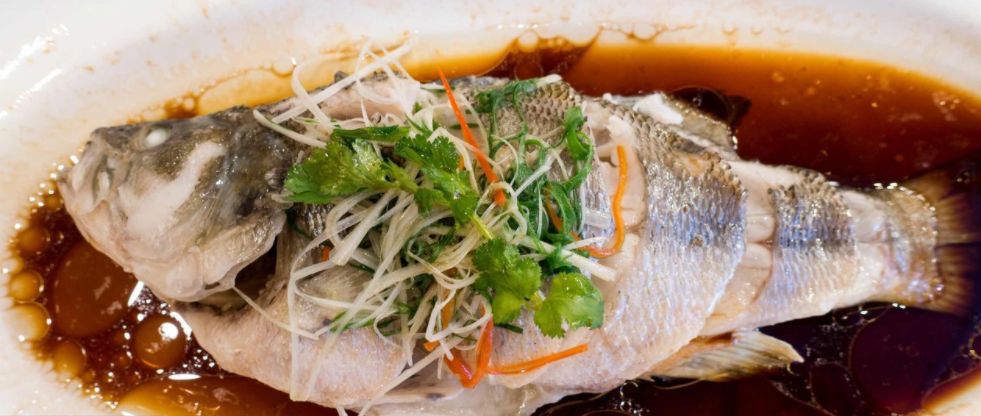 鱼儿食欲怎么样,鱼儿是怎么吃东西