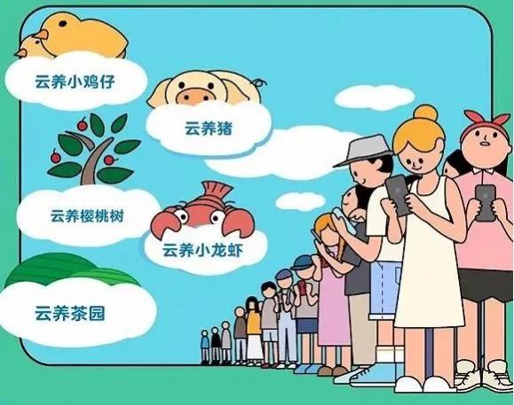 云养殖:喂鸡、种花、养老虎,2020直播电商新风口