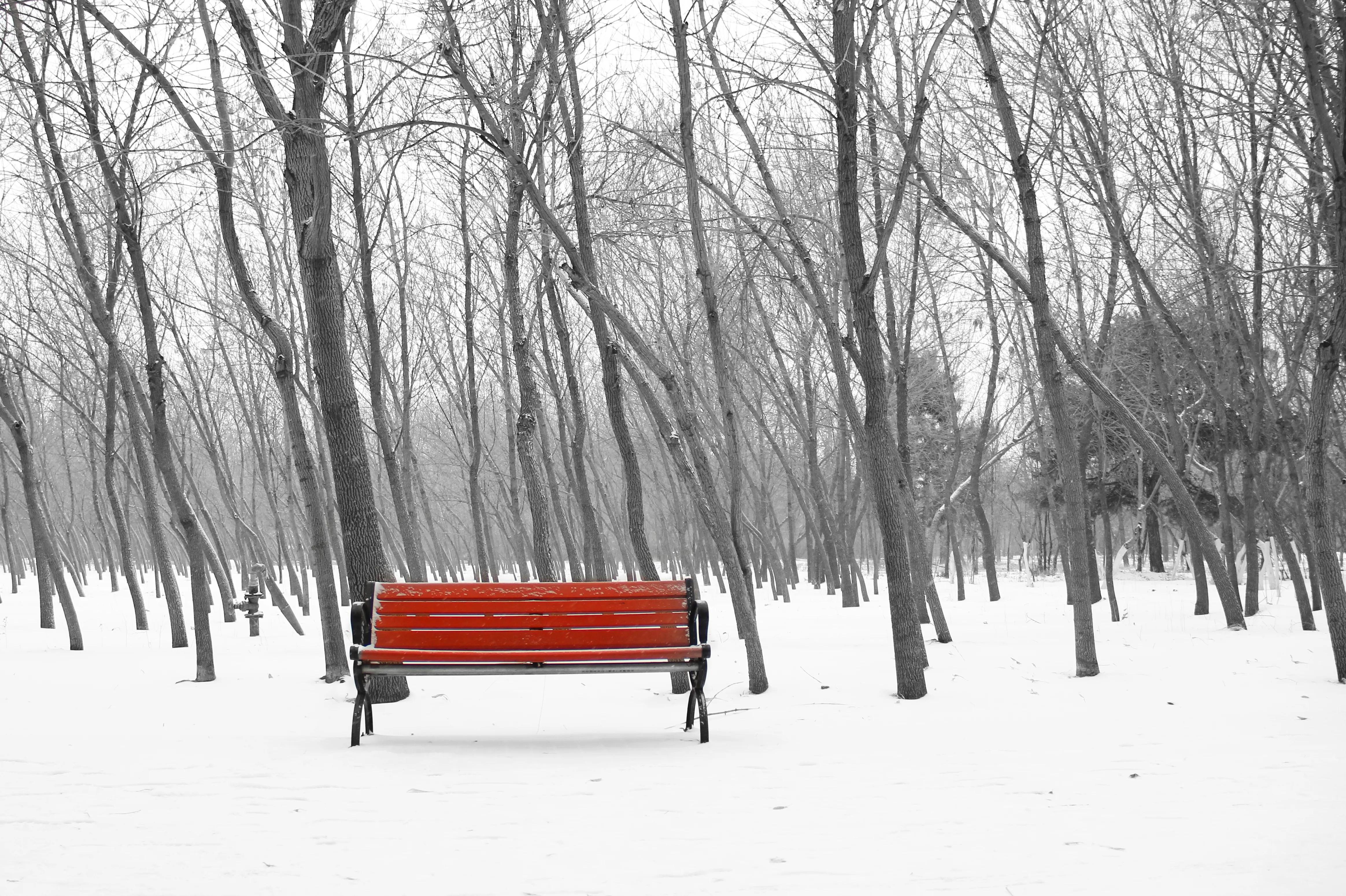 包头清雪,包头初雪航拍
