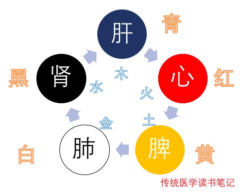 五色五味与五脏六腑的关系,五味和五色所对应的脏器