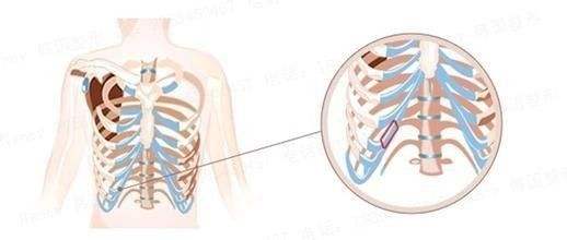 正确的训练从呼吸开始,呼吸对训练的重要性