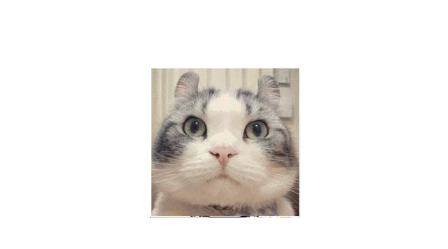 设计微信头像,设计师的微信头像