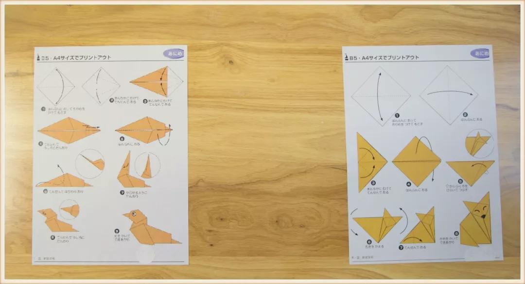 环境创设主题墙大班动物,可爱的小动物大班环境创设