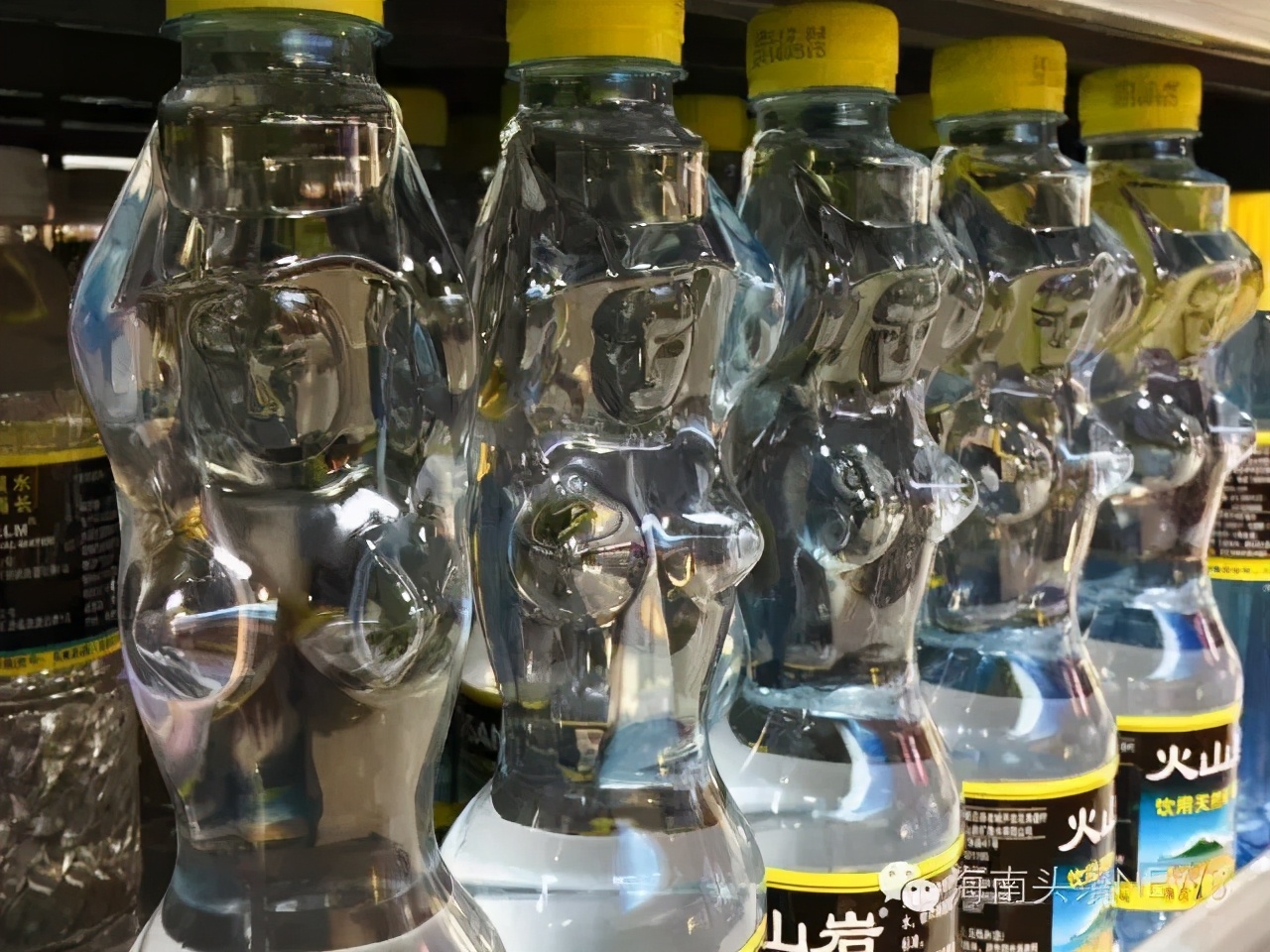 逆行者普洱茶,逆行者逆行的原因