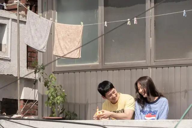 夏天最值得看的电影,十部必看经典电影夏天