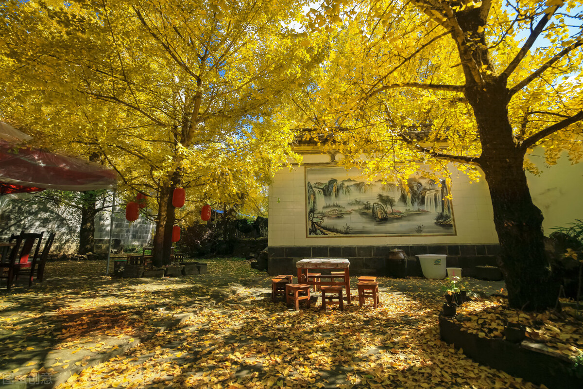 带你看遍云南的美景,风景绝美的云南小众目的地