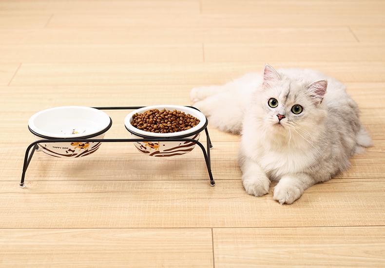 口碑最好的十大平价猫粮,口碑最好的十大猫粮平价