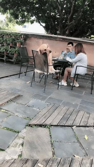 第一天在水果店上班的感受是什么,在水果店上班的日常