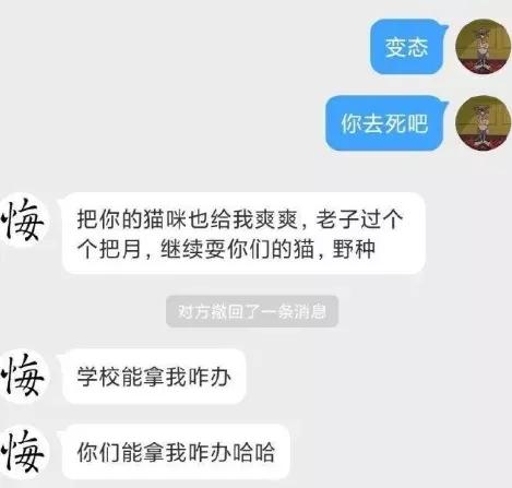 在宿舍养猫很后悔,为什么不能在宿舍养猫