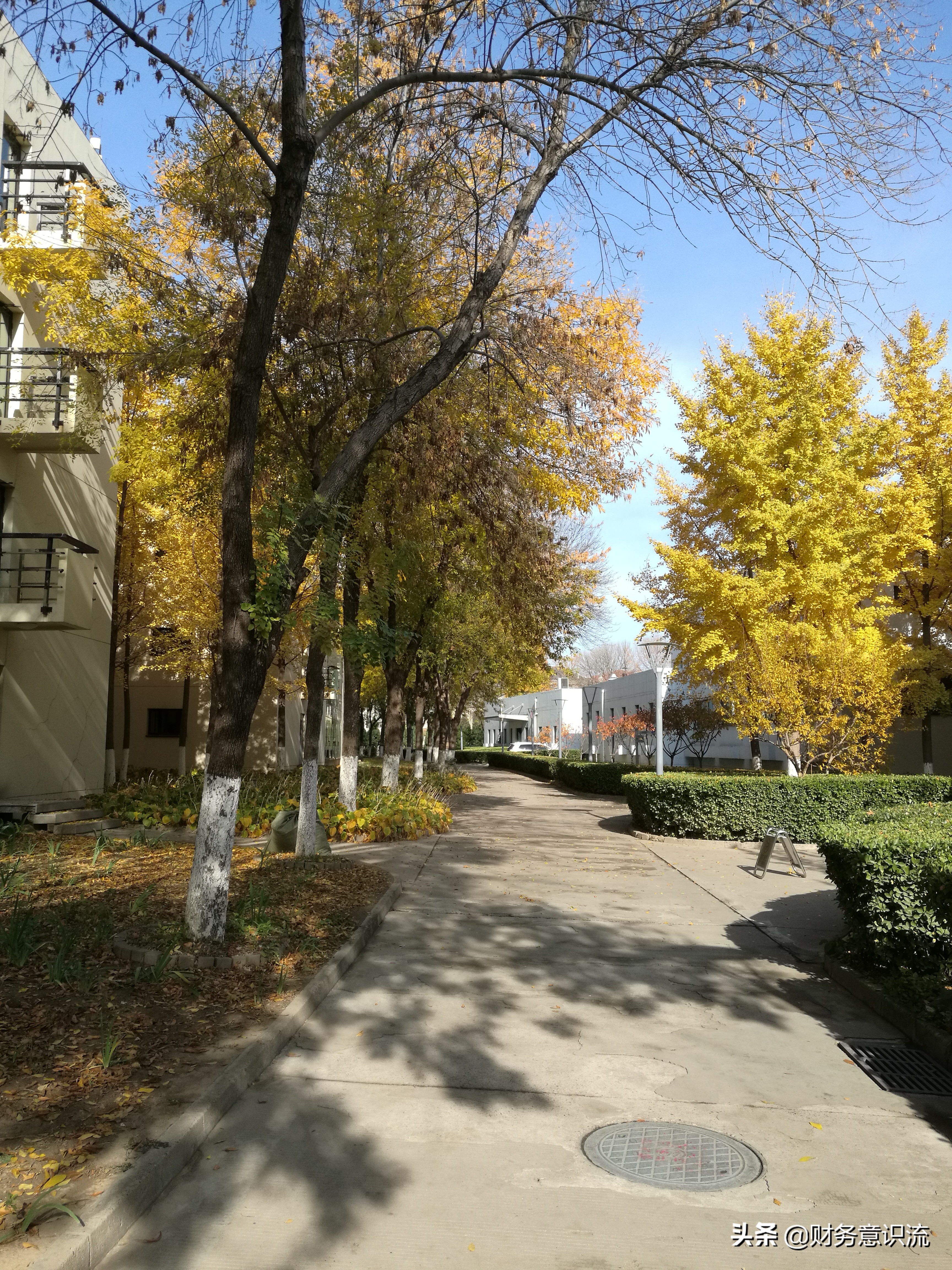 2020会计借贷记账法教程,会计借贷记账技巧口诀